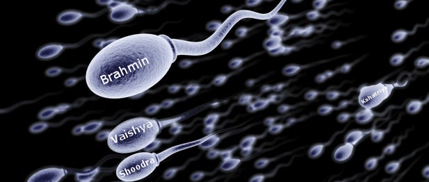 Caste-labelled sperms